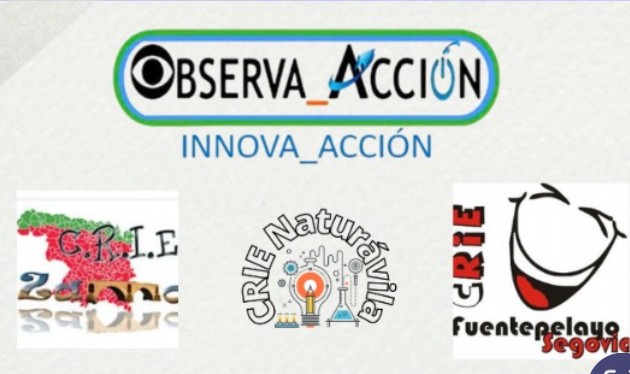 LOGO CRIES PIE OBSERVA_ACCION 2025-25